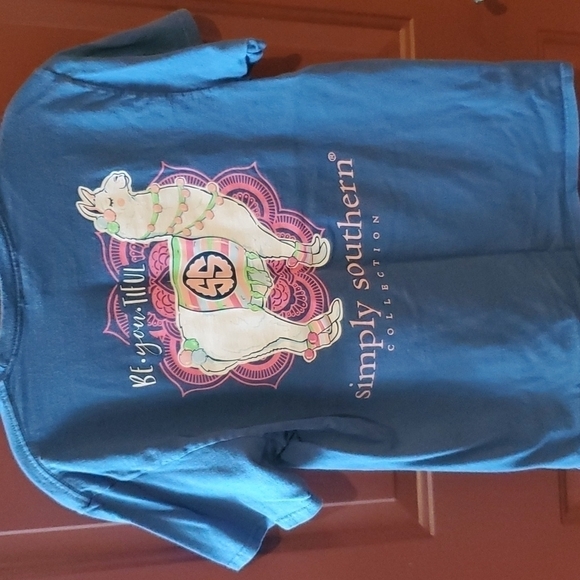 Simply Southern blue SS lama Tee shirt  Medium preowned - Picture 2 of 9